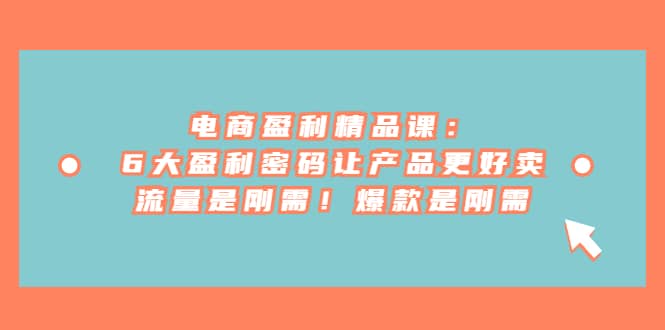 电商 盈利精品课：6大盈利 密码让产品更好卖，流量是刚需！爆款是刚需网创库-网创项目资源站-副业项目-创业项目-搞钱项目网创库