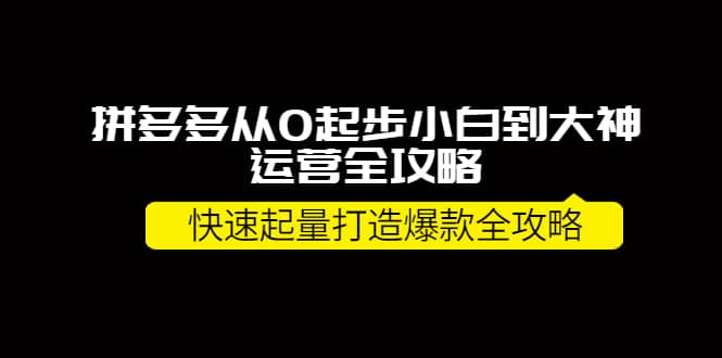 拼多多从0起步小白到大神运营全攻略网创库-网创项目资源站-副业项目-创业项目-搞钱项目网创库