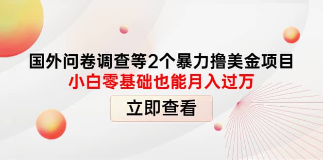 国外问卷调查等2个暴力撸美元项目，小白零基础也能月入过万网创库-网创项目资源站-副业项目-创业项目-搞钱项目网创库