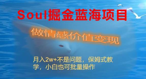 Soul掘金蓝海项目细分赛道，做情感价值变现，月入2w+不是问题网创库-网创项目资源站-副业项目-创业项目-搞钱项目网创库