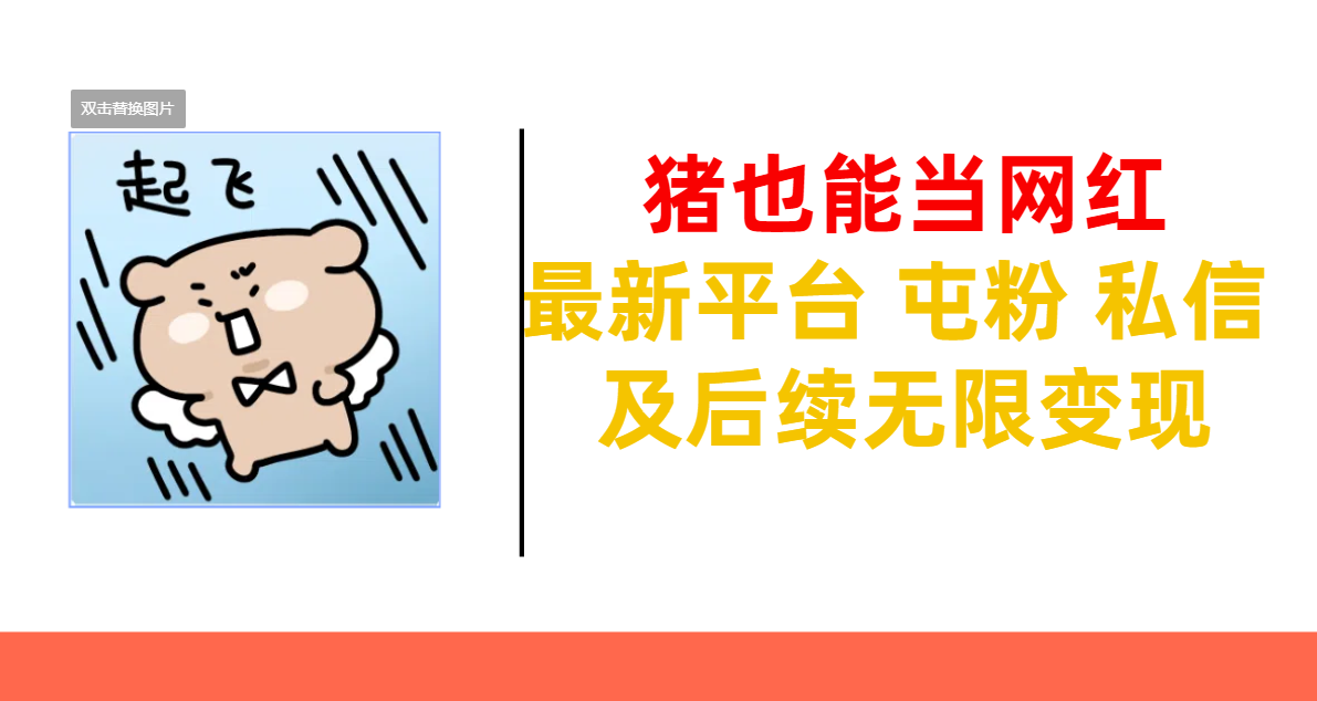 猪也能当网红-最新平台 屯粉 交流 私信 及后续无限变现网创库-网创项目资源站-副业项目-创业项目-搞钱项目网创库
