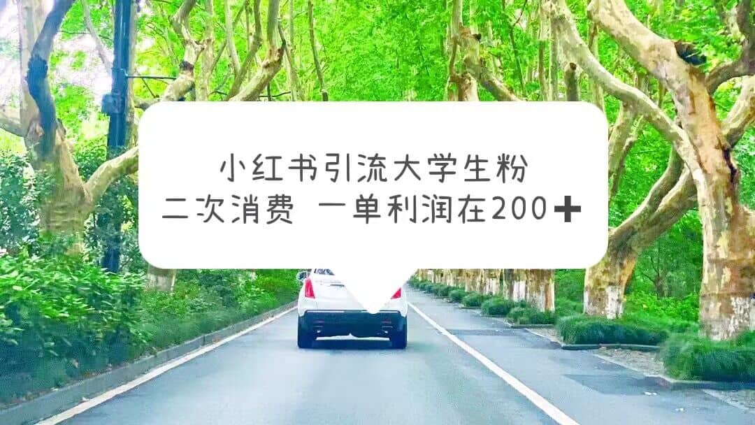 小红书引流大学生粉，变现项目，一单利润在200+（教程+资源）网创库-网创项目资源站-副业项目-创业项目-搞钱项目网创库