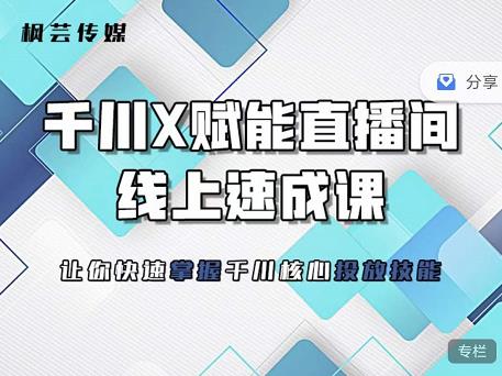 枫芸传媒-线上千川提升课，提升千川认知，提升千川投放效果网创库-网创项目资源站-副业项目-创业项目-搞钱项目网创库