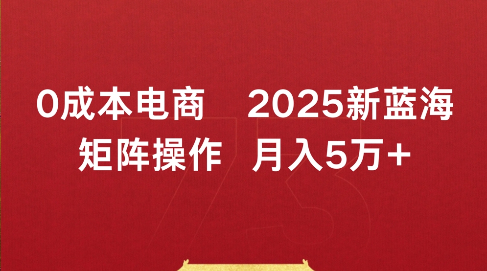0成本电商2025新蓝海矩阵操作 月入5万+网创库-网创项目资源站-副业项目-创业项目-搞钱项目网创库