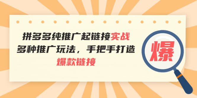 拼多多纯推广起链接实战：多种推广玩法，手把手打造爆款链接网创库-网创项目资源站-副业项目-创业项目-搞钱项目网创库