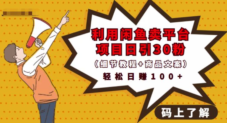 利用闲鱼卖平台项目课程资源日引流30+精准粉丝，轻松日赚100+，积累人脉可实现二次变现（细节教程+商品文案）网创库-网创项目资源站-副业项目-创业项目-搞钱项目网创库
