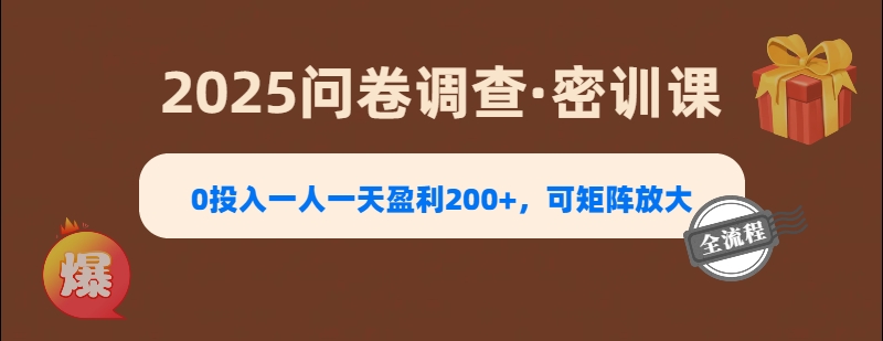 2025《问卷调查》0投入一人一天盈利200+，可矩阵放大网创库-网创项目资源站-副业项目-创业项目-搞钱项目网创库