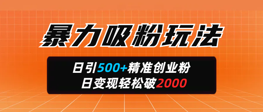 暴力吸粉玩法，日引500+精准创业粉，日变现轻松破2000网创库-网创项目资源站-副业项目-创业项目-搞钱项目网创库