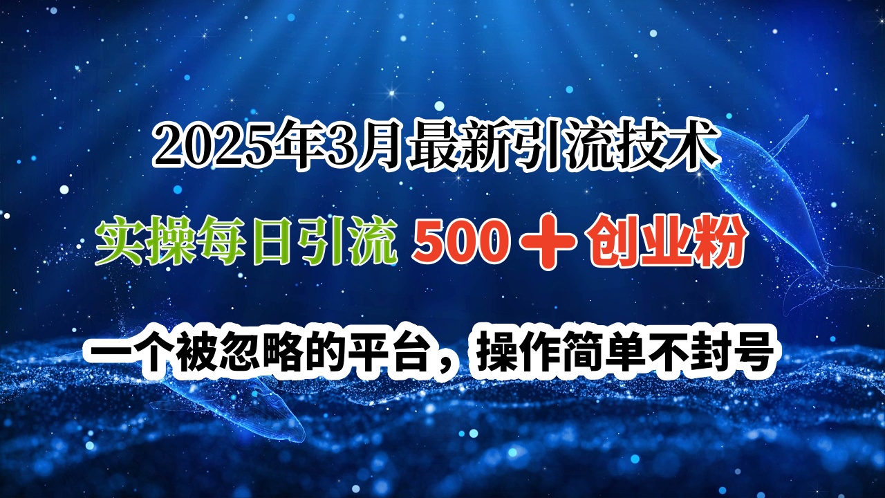 2025年3月最新引流技术，实操每日引流500➕创业粉，一个被忽略的平台，操作简单不封号网创库-网创项目资源站-副业项目-创业项目-搞钱项目网创库