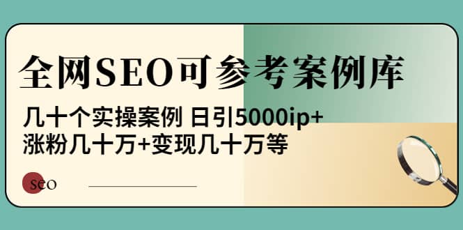《全网SEO可参考案例库》几十个实操案例网创库-网创项目资源站-副业项目-创业项目-搞钱项目网创库