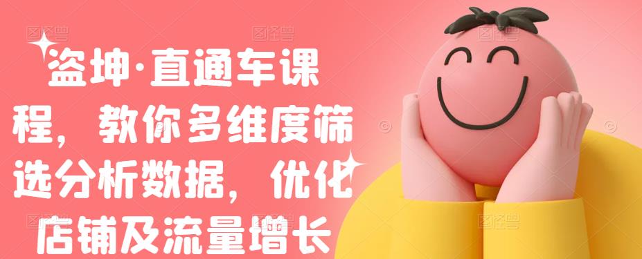 盗坤·直通车课程，教你多维度筛选分析数据，优化店铺及流量增长网创库-网创项目资源站-副业项目-创业项目-搞钱项目网创库