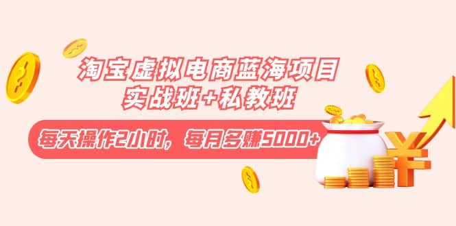 淘宝虚拟电商蓝海项目实战班+私教班网创库-网创项目资源站-副业项目-创业项目-搞钱项目网创库
