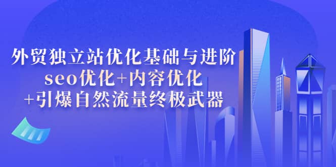 外贸独立站优化基础与进阶，seo优化+内容优化+引爆自然流量终极武器网创库-网创项目资源站-副业项目-创业项目-搞钱项目网创库