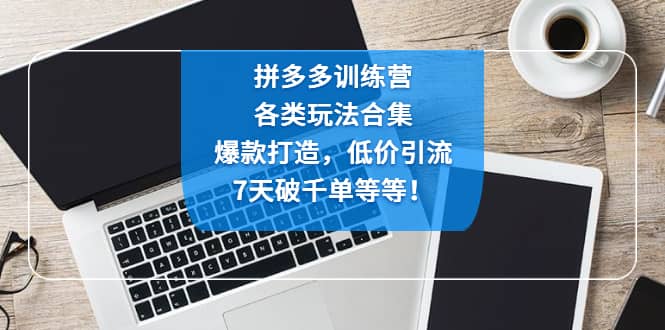 拼多多训练营：各玩法合集，爆款打造，低价引流，7天破千单等等网创库-网创项目资源站-副业项目-创业项目-搞钱项目网创库