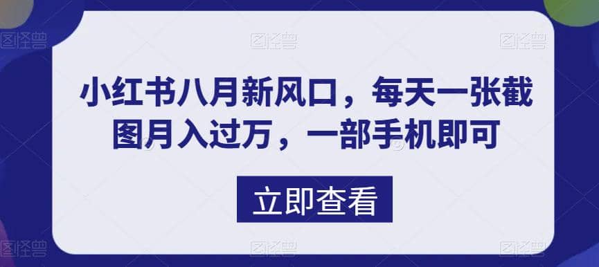 八月新风口，小红书虚拟项目一天收入1000+，实战揭秘网创库-网创项目资源站-副业项目-创业项目-搞钱项目网创库