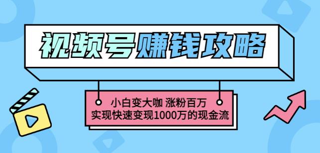 玩转微信视频号赚钱：小白变大咖涨粉百万实现快速变现1000万的现金流网创库-网创项目资源站-副业项目-创业项目-搞钱项目网创库