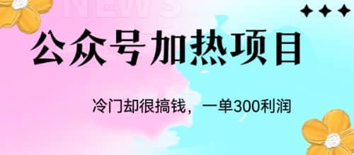 冷门公众号加热项目，一单利润300+网创库-网创项目资源站-副业项目-创业项目-搞钱项目网创库