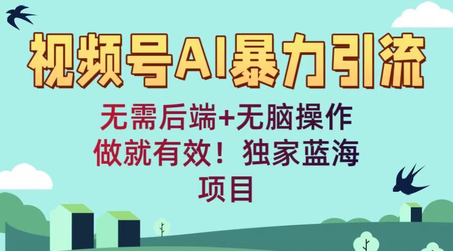 视频号AI暴力引流：无需后端+无脑操作，做就有效！独家蓝海项目网创库-网创项目资源站-副业项目-创业项目-搞钱项目网创库
