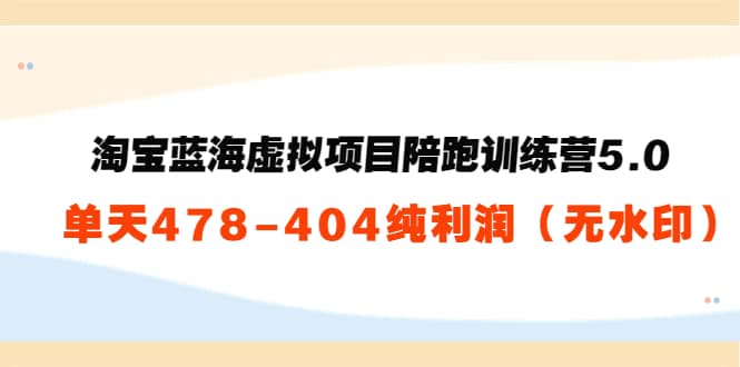 淘宝蓝海虚拟项目陪跑训练营5.0：单天478纯利润（无水印）网创库-网创项目资源站-副业项目-创业项目-搞钱项目网创库