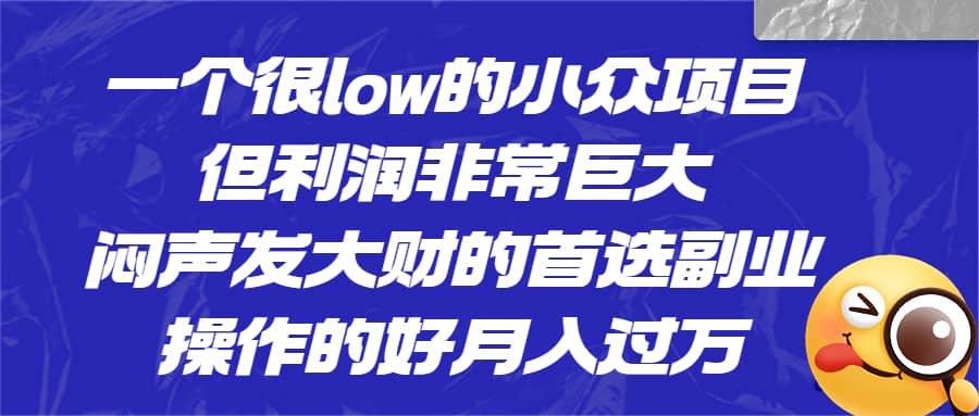 一个很low的小众项目，但利润非常巨大，闷声发大财的首选副业，月入过万网创库-网创项目资源站-副业项目-创业项目-搞钱项目网创库