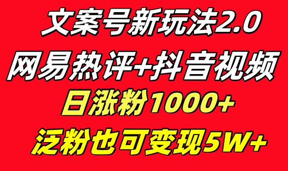 文案号新玩法 网易热评+抖音文案 一天涨粉1000+ 多种变现模式 泛粉也可变现网创库-网创项目资源站-副业项目-创业项目-搞钱项目网创库