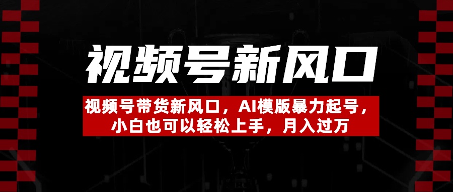 视频号带货新风口，AI模版暴力起号，小白也可以轻松上手，月入过万网创库-网创项目资源站-副业项目-创业项目-搞钱项目网创库