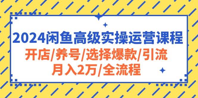 2024闲鱼高级实操运营课程：开店/养号/选择爆款/引流/月入2万/全流程网创库-网创项目资源站-副业项目-创业项目-搞钱项目网创库