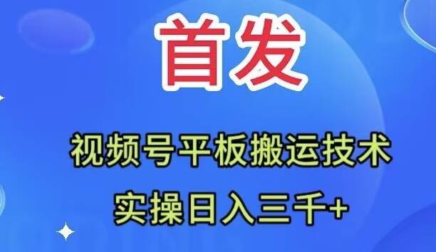 全网首发：视频号平板搬运技术，实操日入三千＋网创库-网创项目资源站-副业项目-创业项目-搞钱项目网创库