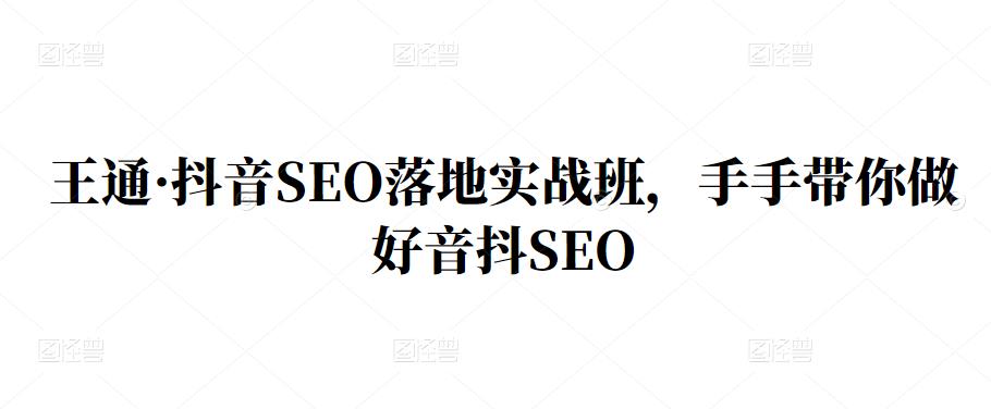 王通·抖音SEO落地实战班，手‬手带你做好音抖‬‬SEO网创库-网创项目资源站-副业项目-创业项目-搞钱项目网创库