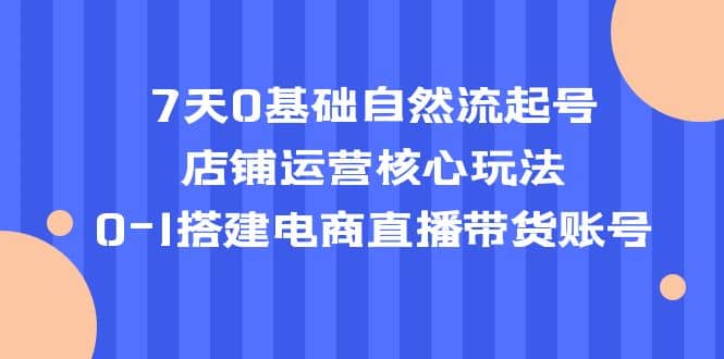 7天0基础自然流起号，店铺运营核心玩法，0-1搭建电商直播带货账号网创库-网创项目资源站-副业项目-创业项目-搞钱项目网创库