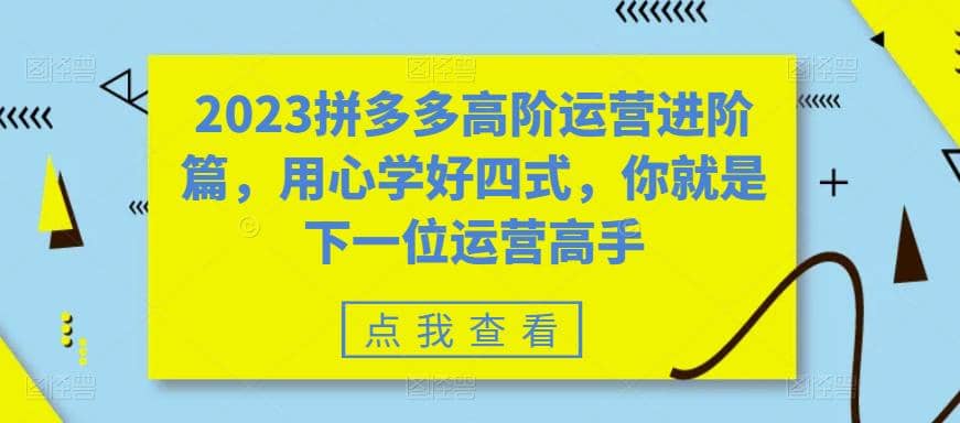 2023拼多多高阶运营进阶篇，用心学好四式，你就是下一位运营高手网创库-网创项目资源站-副业项目-创业项目-搞钱项目网创库