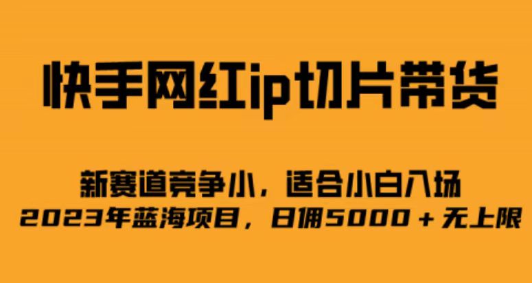 快手网红ip切片新赛道，竞争小事，适合小白 2023蓝海项目网创库-网创项目资源站-副业项目-创业项目-搞钱项目网创库