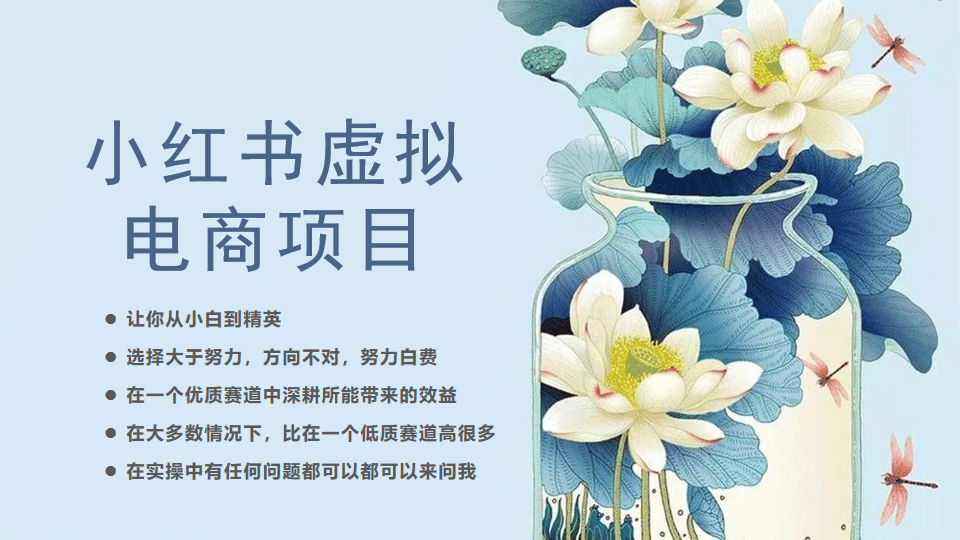 小红书虚拟电商从0到1，让你从小白到精英（20节实操课程）网创库-网创项目资源站-副业项目-创业项目-搞钱项目网创库