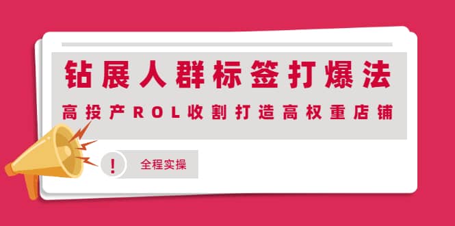 钻展人群标签打爆法，高投产ROL收割打造高权重店铺(全程实操)网创库-网创项目资源站-副业项目-创业项目-搞钱项目网创库