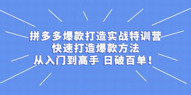 拼多多爆款打造实战特训营：快速打造爆款方法，从入门到高手 日破百单网创库-网创项目资源站-副业项目-创业项目-搞钱项目网创库