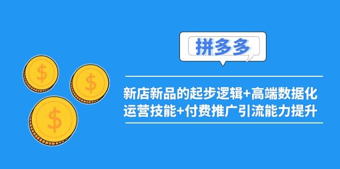 2022拼多多：新店新品的起步逻辑+高端数据化运营技能+付费推广引流能力提升网创库-网创项目资源站-副业项目-创业项目-搞钱项目网创库