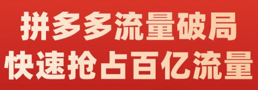 阿杰·拼多多流量破局:如何打黑标，爆款的思路，拼多多流量框架，快速抢占百亿流量网创库-网创项目资源站-副业项目-创业项目-搞钱项目网创库