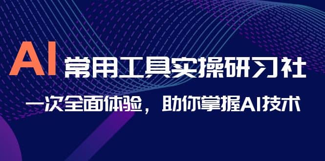 AI-常用工具实操研习社,一次全面体验,助你掌握AI技术网创库-网创项目资源站-副业项目-创业项目-搞钱项目网创库