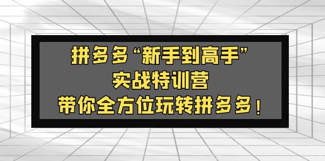拼多多“新手到高手”实战特训营：带你全方位玩转拼多多网创库-网创项目资源站-副业项目-创业项目-搞钱项目网创库