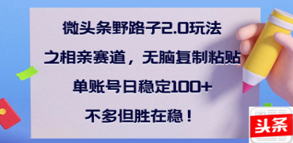 全网首发微头条野路子2.0玩法之相亲赛道，无脑搬砖复制粘贴，单账号日稳定300+保姆级教程网创库-网创项目资源站-副业项目-创业项目-搞钱项目网创库