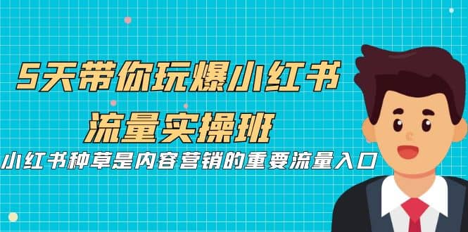 5天带你玩爆小红书流量实操班，小红书种草是内容营销的重要流量入口网创库-网创项目资源站-副业项目-创业项目-搞钱项目网创库