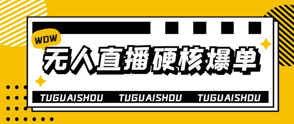 大飞无人直播硬核爆单技术，轻松玩转无人直播网创库-网创项目资源站-副业项目-创业项目-搞钱项目网创库