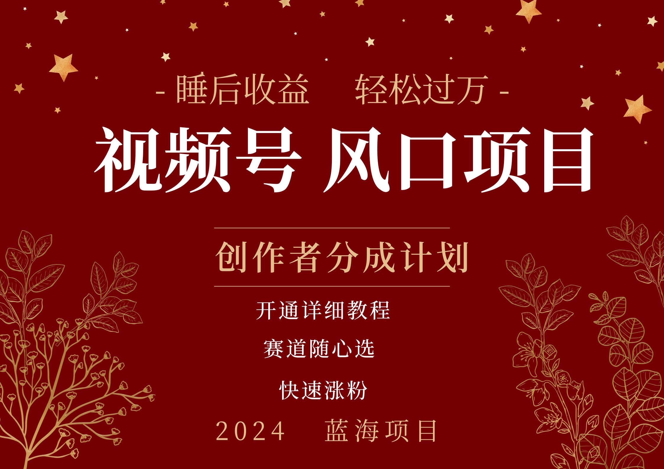 拥有睡眠收益的微信视频号大风口项目，轻松月入过万+，多赛道选择，可矩阵，玩法简单轻松上手网创库-网创项目资源站-副业项目-创业项目-搞钱项目网创库
