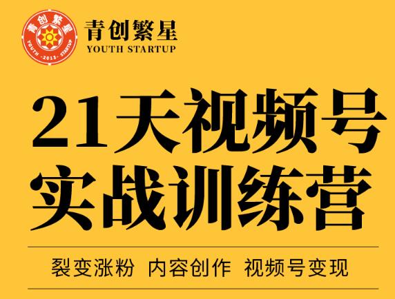 张萌21天视频号实战训练营，裂变涨粉、内容创作、视频号变现 价值298元网创库-网创项目资源站-副业项目-创业项目-搞钱项目网创库