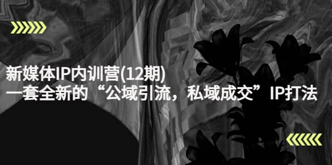 新媒体IP内训营(12期)，一套全新的“公域引流，私域成交”IP打法，直接带走网创库-网创项目资源站-副业项目-创业项目-搞钱项目网创库