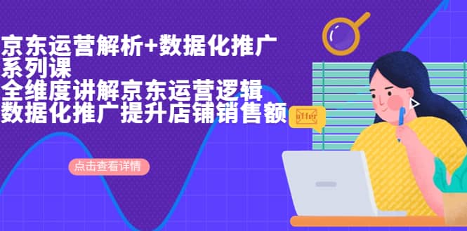 京东运营解析与数据化推广系列课，全维度讲解京东运营逻辑+数据化推广提升店铺销售额网创库-网创项目资源站-副业项目-创业项目-搞钱项目网创库