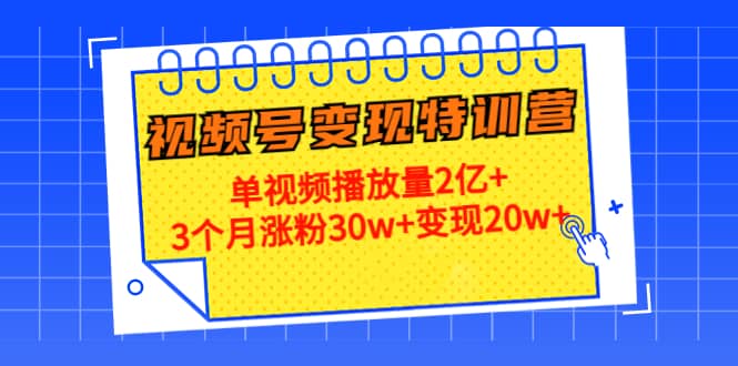 20天视频号变现特训营：单视频播放量2亿+网创库-网创项目资源站-副业项目-创业项目-搞钱项目网创库