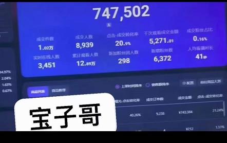 宝子哥无人直播，半无人直播，Obs+伴侣玩法，快速打标签+养鱼网创库-网创项目资源站-副业项目-创业项目-搞钱项目网创库