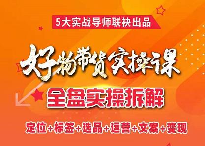 抖音好物带货实操课，全盘拆解抖音好物带货号全套流程打法网创库-网创项目资源站-副业项目-创业项目-搞钱项目网创库