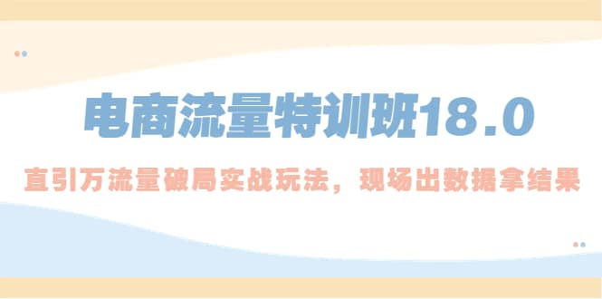 电商流量特训班18.0，直引万流量破局实操玩法，现场出数据拿结果网创库-网创项目资源站-副业项目-创业项目-搞钱项目网创库